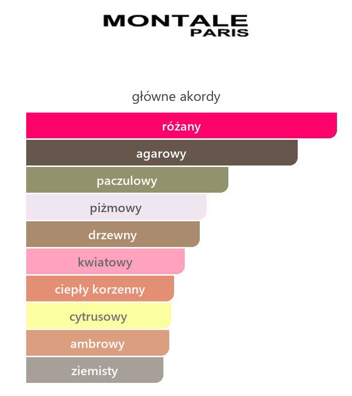 Montale Black Aoud – główne akordy