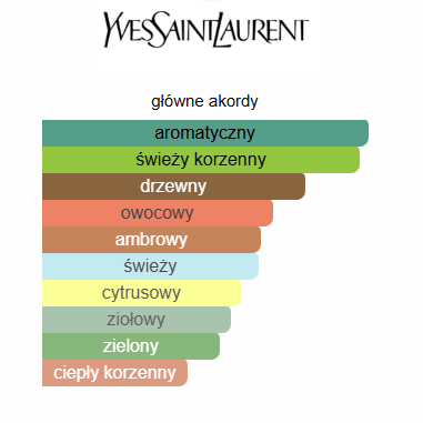 Yves Saint Laurent - Y odlewka perfum